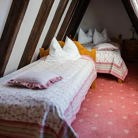 Pensiunea Casa Motului Maison d'hôtes